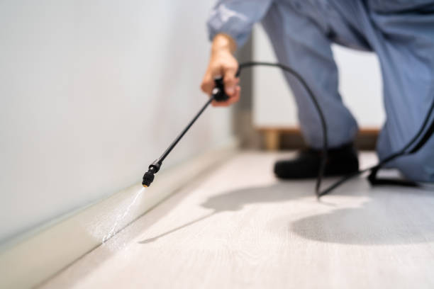 Licensed Termite Control service in Meade County County, SD - Nex Pest Control